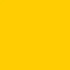 Color de acrílico Amarillo oscuro (Color)