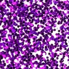 Color de acrílico MT-07 (Glitter)