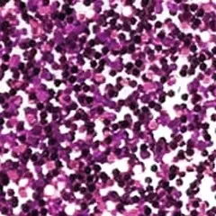 Color de acrílico MT-08 (Glitter)