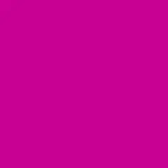 Color de acrílico Rosa mexicano (Color)